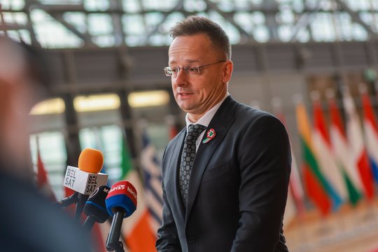 Buvęs Čekijos ministras: Vengrija – Rusijos Trojos arklys ES