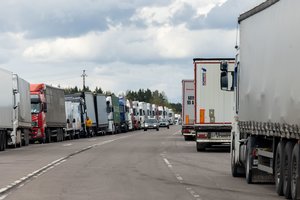 I. Ruginienė rėžė be užuolankų: apie kompensacijas vežėjams turėtų galvoti tik Baltarusija