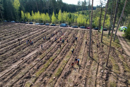 Nacionalinis miškasodis – V. Adamkaus 100-mečiui: kvies sodinti ąžuolus