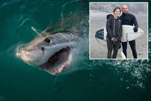 Po kraupaus incidento – ryklio užpuolimą išgyvenusio vyro liudijimas: „Supratau, kad aš negaliu mirti“