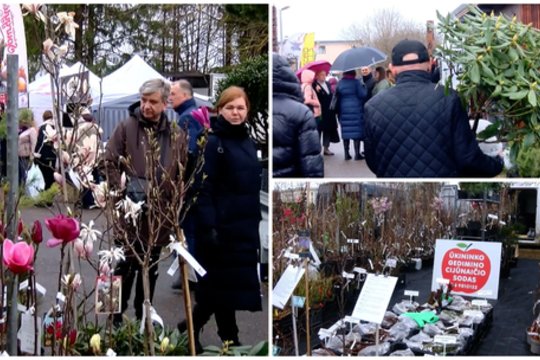 Jubiliejinė žemės ūkio paroda „Ką pasėsi... 2026“: už norimus augalus teks pakloti ne vieną dešimtį eurų