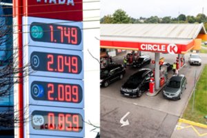 Seimas spręs degalų kainų krizę: atskleidė, ko ketina imtis