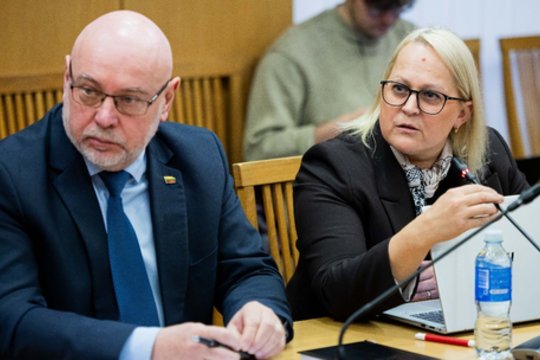 L. Girskienė neslepia nusivylimo – koalicijoje jaučiamės pasimetę: su mumis niekas nesikalbėjo