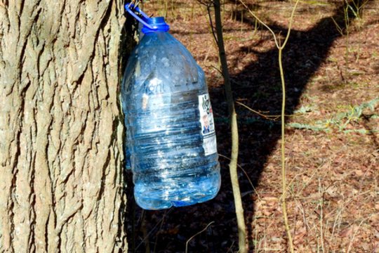 Sulos sezonas įsibėgėja: ką svarbu žinoti planuojantiems leisti, prekiauti ar pirkti
