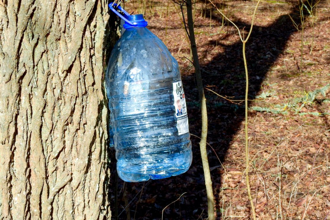 Sulos sezonas įsibėgėja: ką svarbu žinoti planuojantiems leisti, prekiauti ar pirkti