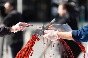 VMVT: darbo grupėje svarstomos kelios paršelių kastravimo be nuskausminamųjų alternatyvos