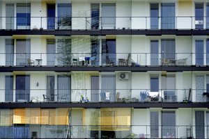 Ragina lietuvius užsiklijuoti tai ant langų: paaiškino, kuo tai padės gamtai