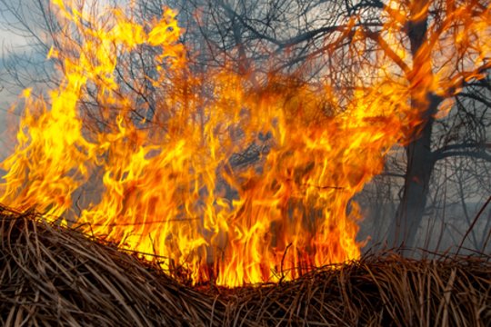 Kaune užsidegus pievai sudegė sodo namelis ir du šiltnamiai