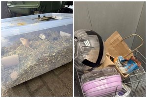 Šiukšlyno princai meldžia antro šanso: beširdžiai mažylius paliko mirti šiukšlių konteineryje