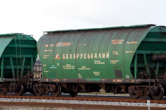 I. Vėgėlė, A. Ažubalis, L. Savickas, M. Katelynas: kokios JAV kortos spausti Lietuvą?