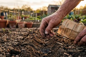 Šiomis balandžio dienomis apie daržą geriau pamiršti: skubėti dabar – klaida