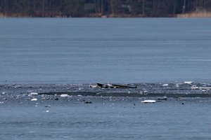 Tyrimas dėl Varėnos r. nukritusio drono tęsiasi: iš prokuratūros – naujausia žinia