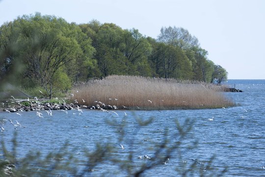 Per dvejus metus iš verslinės žvejybos pasitraukė 11 įmonių: skaičius dar gali augti