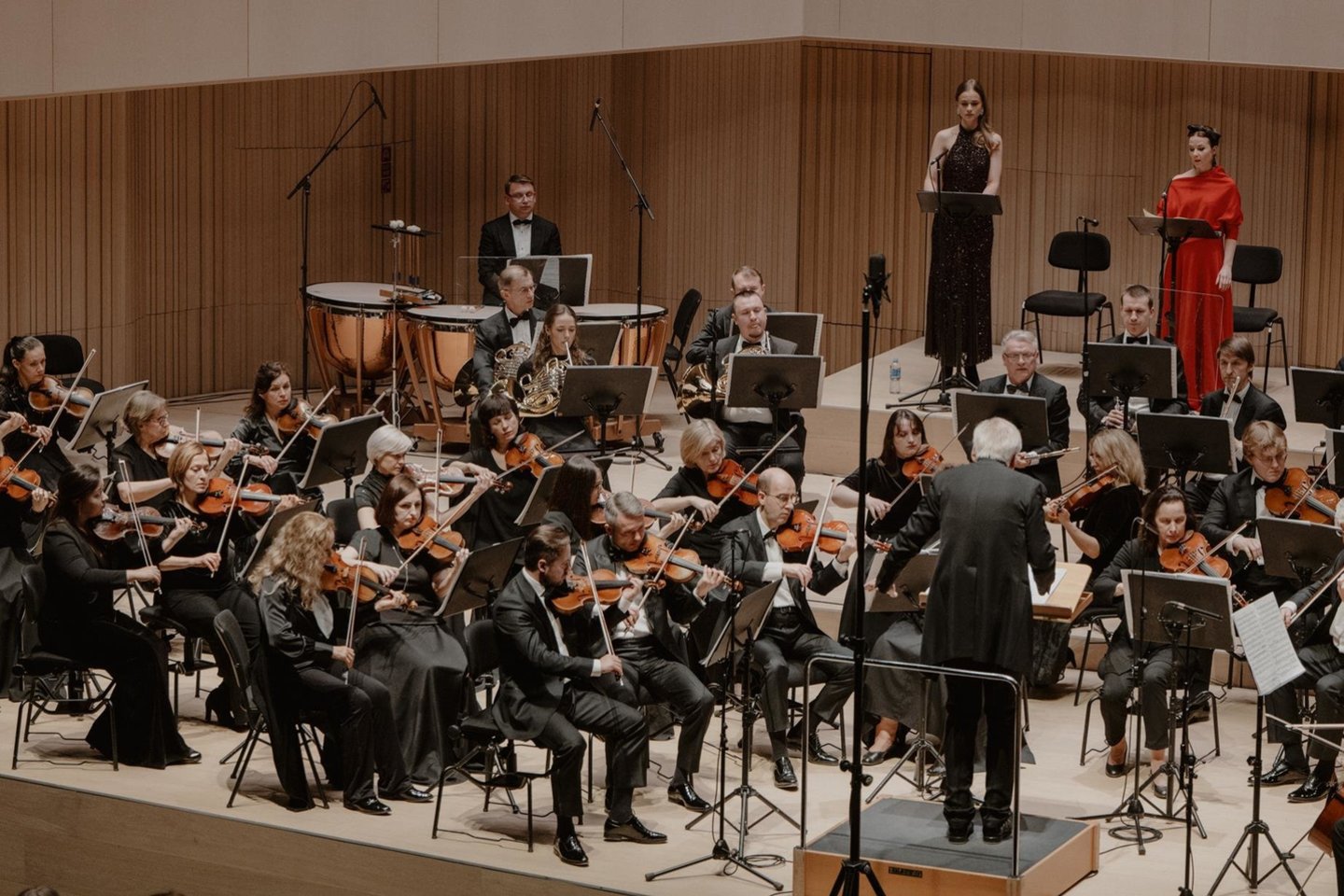 Koncertas.<br>S.Lukoševičiaus nuotr.