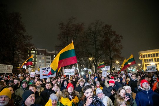 Lietuviai demonstruoja vis didesnį solidarumą: tyrime – ryškus vienos amžiaus grupės lūžis