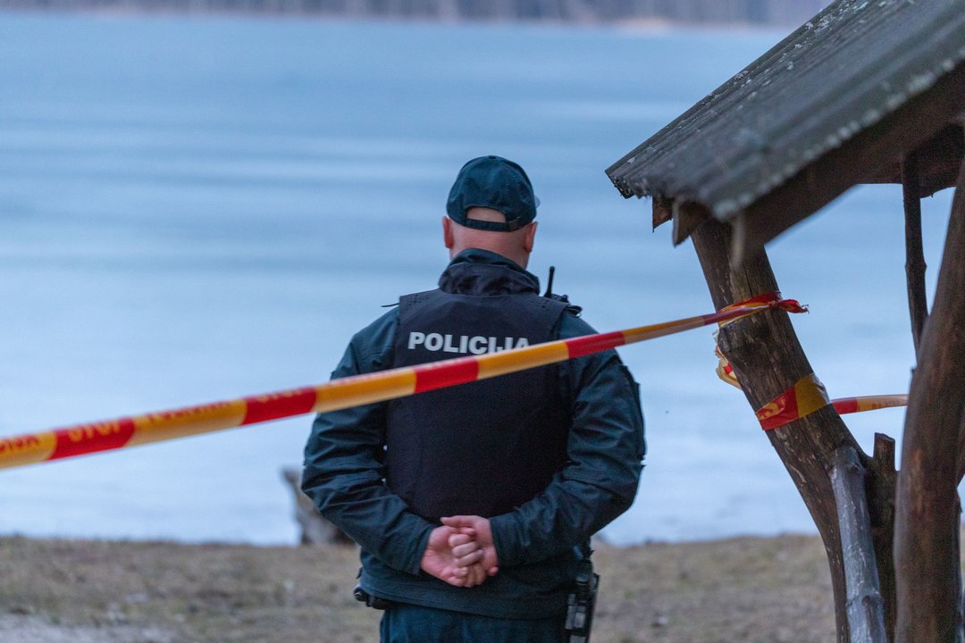 Po Baltijos šalių sienas kirtusių dronų – Ukrainos žinia: patvirtino Rusijos pėdsakus