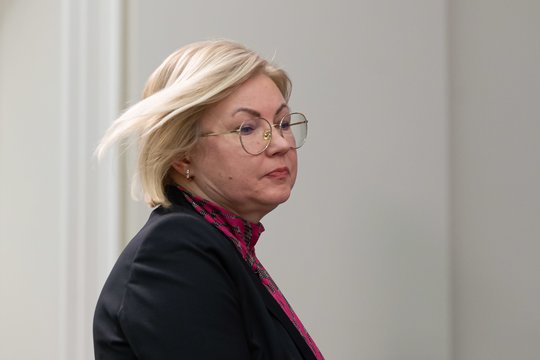 A. Norkienė apie neišspręsta ginčą dėl viceministrų: akivaizdu, kad tai tai kelia įtampas