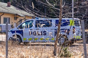 Žiniasklaida: Suomijoje rastas Ukrainos dronas turėjo kovinę galvutę