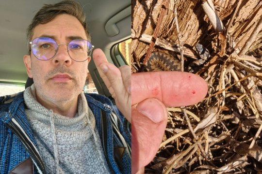 Gamtininkui Mariui Čepuliui įkando angis: pranešė apie simptomus