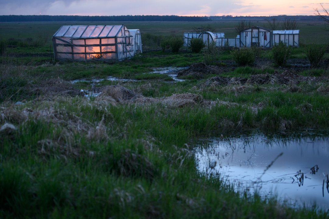 Prisiminė: Vyriausybė atšaukė pernai paskelbtą ekstremaliąją situaciją dėl šalnų