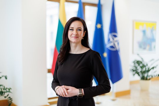 I. Ruginienė apie Baltarusijoje nuteistą Lietuvos pilietį: niekas šioje šalyje nėra saugus