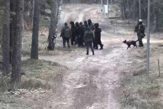 Į Lietuvą brovėsi rekordinis skaičius migrantų iš Baltarusijos: tarp jų – viena moteris