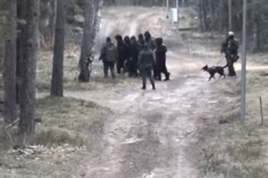 Į Lietuvą brovėsi rekordinis skaičius migrantų iš Baltarusijos: tarp jų – viena moteris