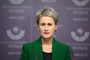 N. Grunskienė: tyrime dėl J. Epsteino apklausta 20 asmenų, rengiamasi siųsti teisinės pagalbos prašymą JAV