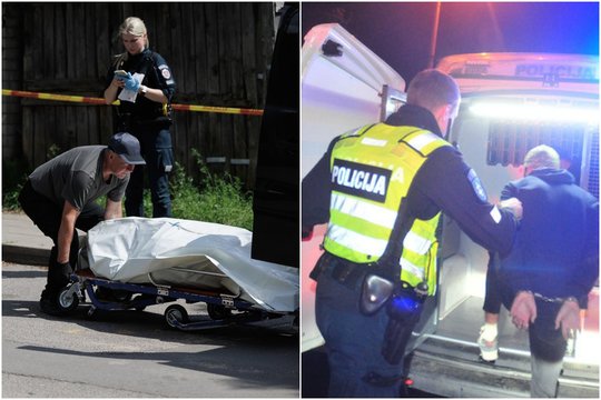 Žvėriška žmogžudyste įtariamas 15-metis vilnietis lieka suimtas: klasioko kūno dalys buvo atskirtos ir paslėptos