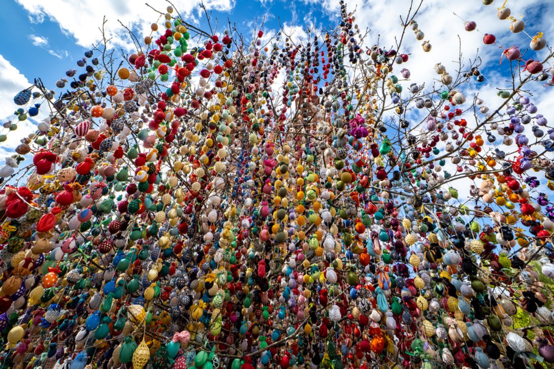 Švėkšniškių kraityje – virš trisdešimt tūkstančių margučių: pasigrožėti plūsta iš visos Lietuvos