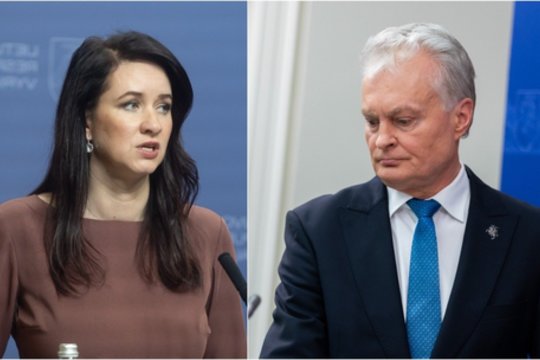 Prezidento elgesį vertina kaip aiškų ribų brėžimą: jei perleistų premjerei – būtų didelis nuostolis