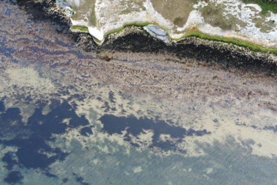 Iš skalbyklės – į ir taip užteršą Baltijos jūrą: mokslininkai ieško sprendimo