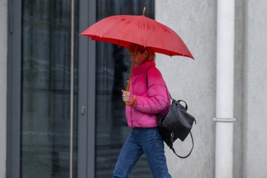 Sinoptikas pateikė naujausią prognozę: su lietumi – ir šlapios snaigės