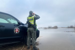 Į Lietuvą besibraunantys migrantai vėl muša rekordus – tyla pasienyje buvo laikina