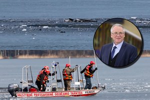 Mečys Laurinkus. Vis dėlto kokia „droniados“ ateitis?