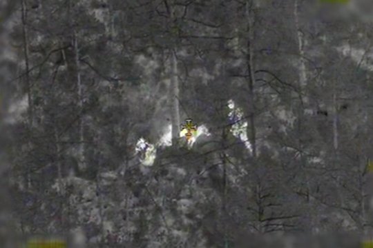 Nelegalaus migranto bandymas pasislėpti tarp medžių nenusisekė: sraigtasparnis afganistanietį kaipmat aptiko