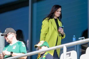 Politologas: I. Ruginienė per greitai patikėjo, kad ji čia atsidūrė neatsitiktinai