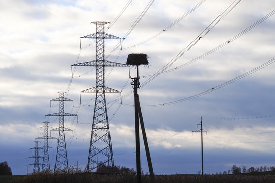 „Litgrid“: kovo mėnesį elektros kaina Lietuvoje sumažėjo 47 proc.