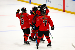 Pasaulio čempionate moterų ledo ritulio rinktinė užsitikrino medalius