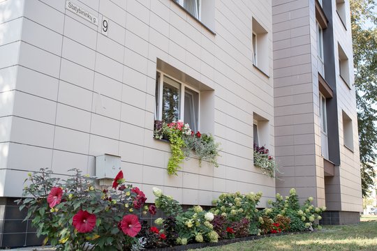 Kaip išsirinkti tinkamus augalus šiaurinei, pietinei, rytinei ir vakarinei pusei