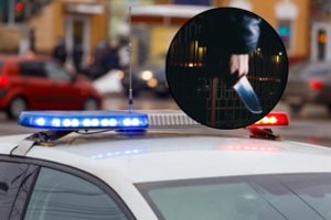 Ramus miestelis sukrėstas siaubingo nusikaltimo: paauglė su vaikinu nužudė savo senelius