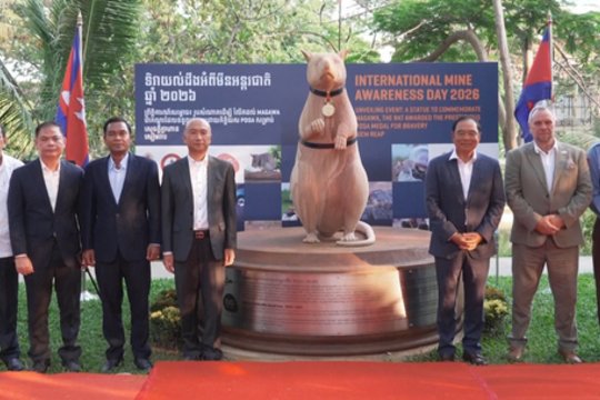 Kambodža pagerbia žiurkę-minų nugalėtoją: Magawa įamžinta statuloje