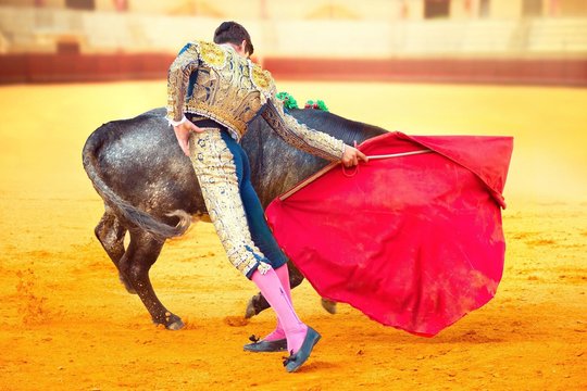 Krito vienas garsiausių Ispanijos matadorų: bulius pervėrė net neprasidėjus koridai