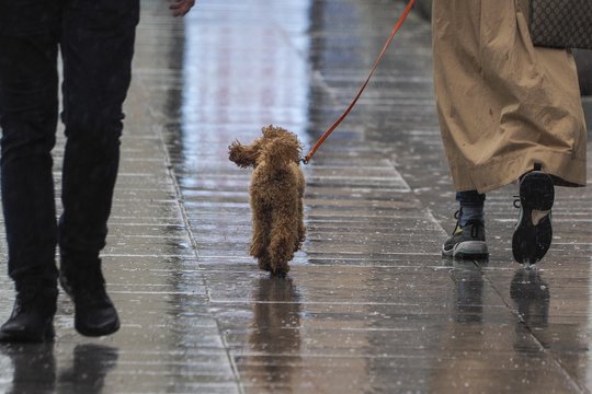 Po šventinio sekmadienio – staigūs orų pokyčiai: žinoma sinoptikė įspėja, kam ruoštis