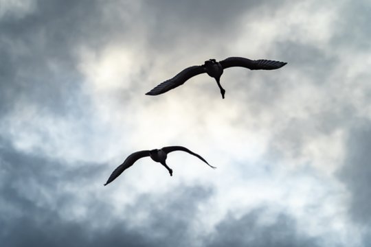 Naktį – minusas, dieną – sniegas: pasakė, kiek Lietuvoje dar laikysis žvarbūs orai