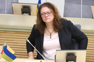 M. Jakubauskienė apie už klausimo dėl Krymo užkliuvusį viceministrą A. Galdiką: „Tęsia darbą“