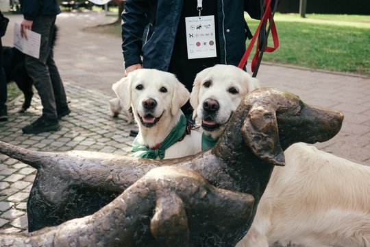 Šuns dieną kviečia paminėti drauge: šventė vyks išskirtinėje vietoje