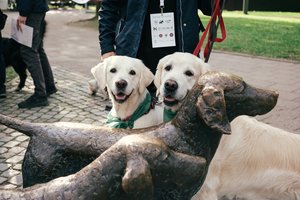 Šuns dieną kviečia paminėti drauge: šventė vyks išskirtinėje vietoje
