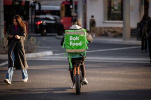 Seimas svarstys siūlymą deportuoti tyčinius nusikaltimus padariusius užsieniečius