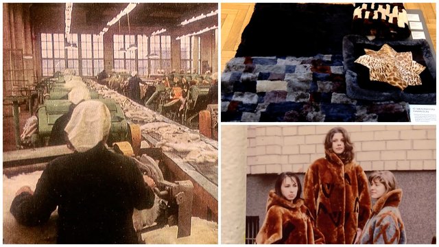 Išskirtinė paroda apie „Vilko“ kailių fabriką: išsaugojo ir legendinius produkcijos pavyzdžius